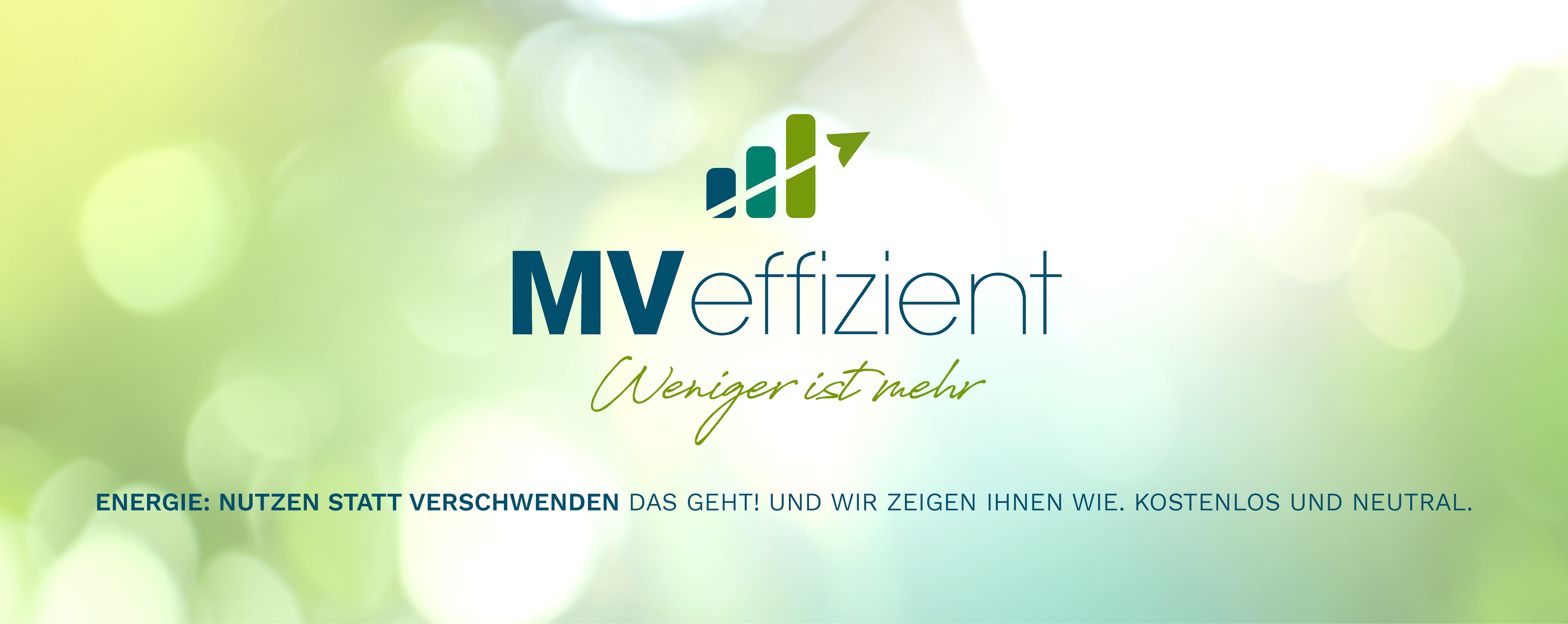 Logo MVeffizient
