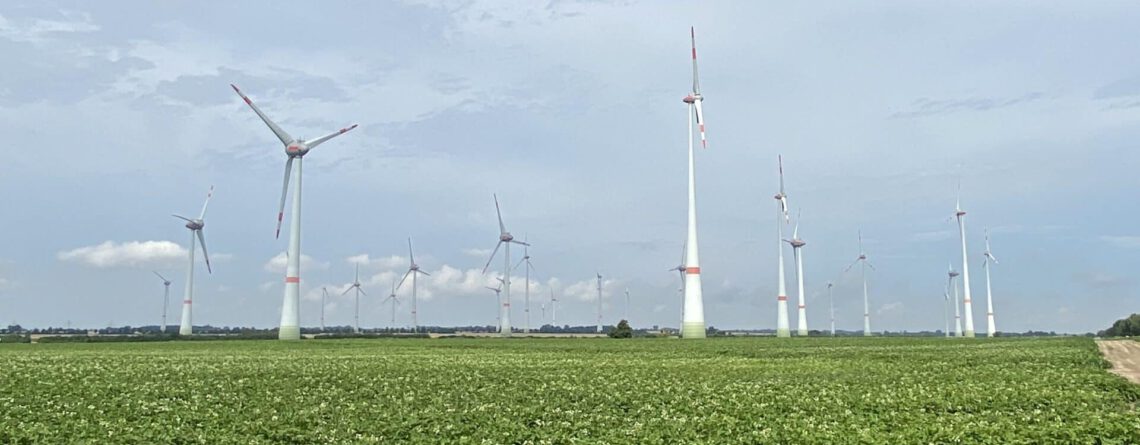 Windräder am Horizont in der Mecklenburgischen Seenplatte