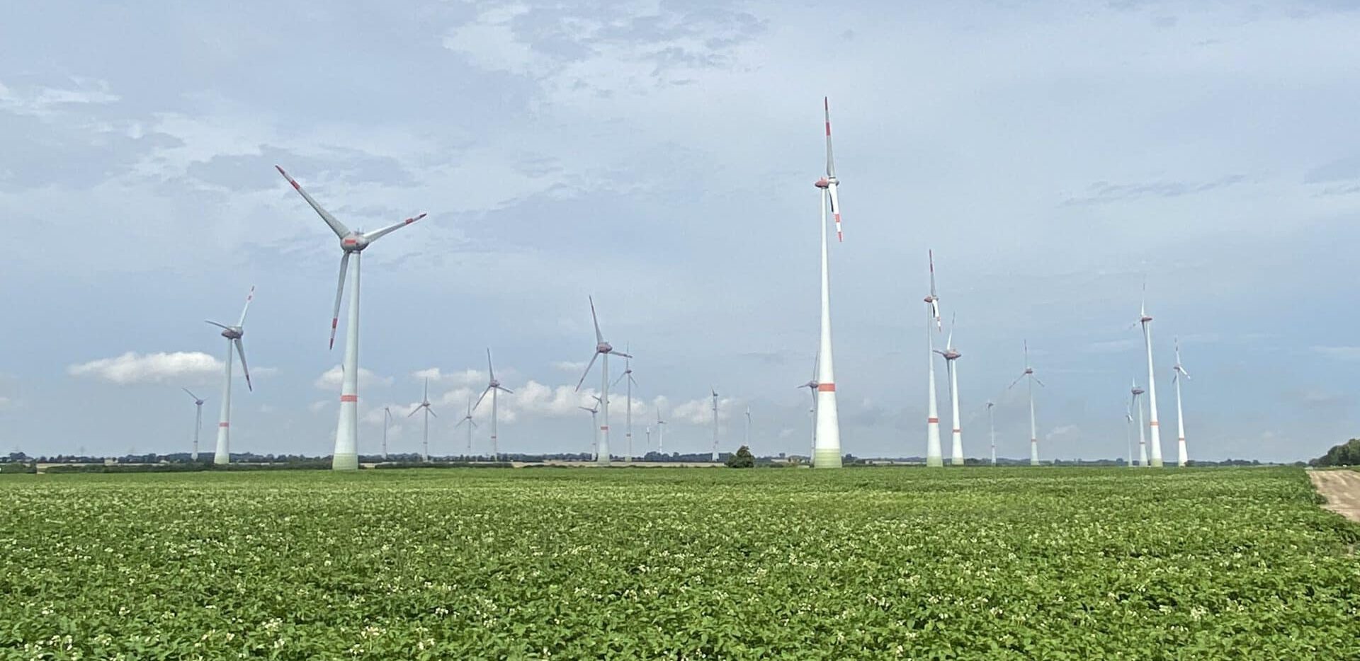 Windräder am Horizont in der Mecklenburgischen Seenplatte