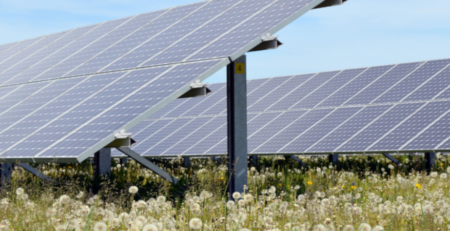 Photovoltaikfreiflaechenanlage mit Blühwiese, Foto Waldi1983/AdobeStock/c_LEKA-MV