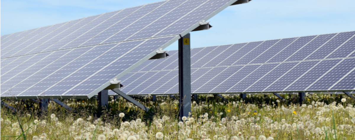 Photovoltaikfreiflaechenanlage mit Blühwiese, Foto Waldi1983/AdobeStock/c_LEKA-MV