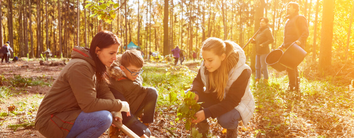 Klimaschutzaktion im Wald