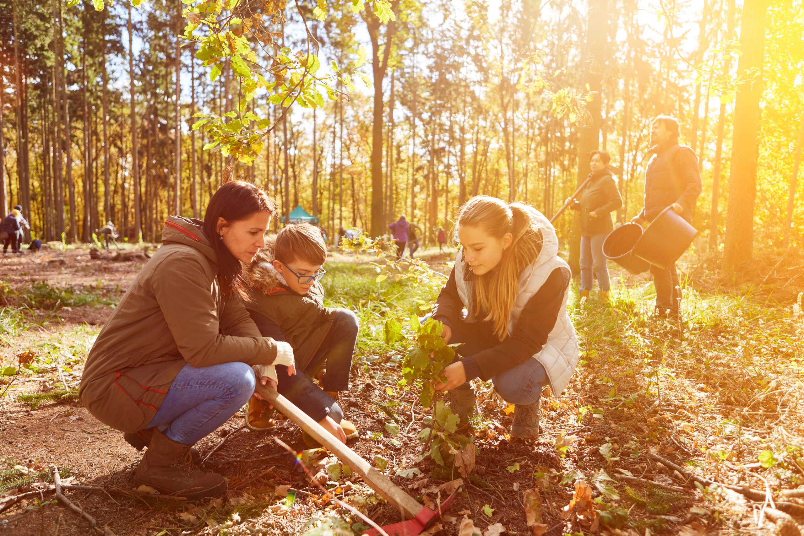 Klimaschutzaktion im Wald