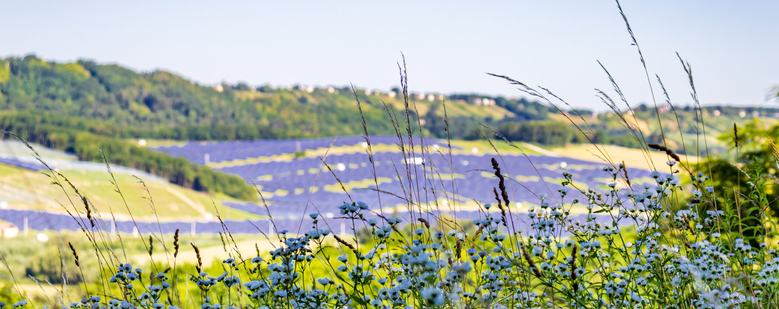 Solarpark in hügeliger Landschaft