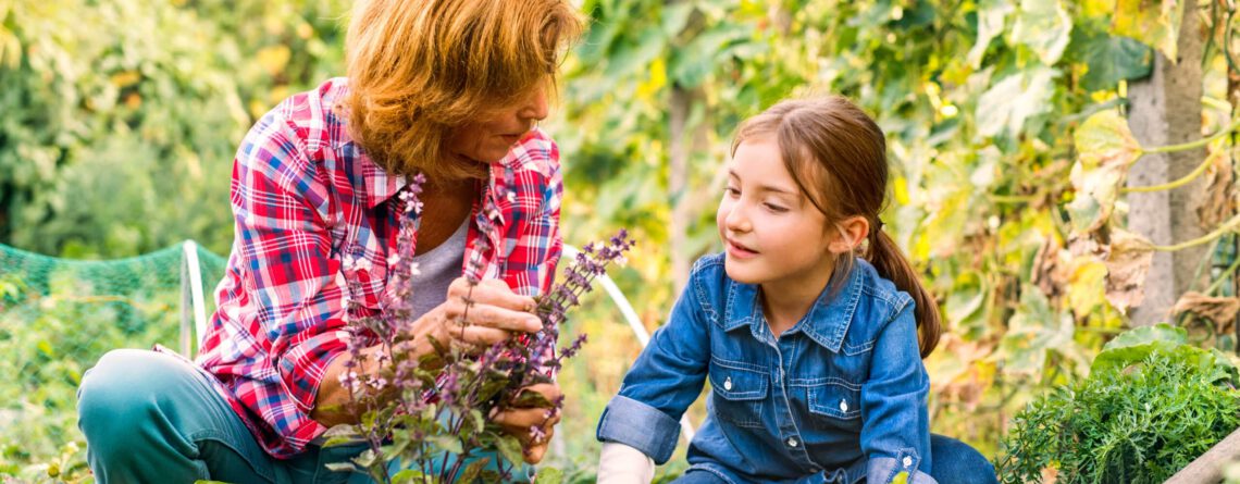 Ältere Dame mit Kind vor Kräutern im Beet