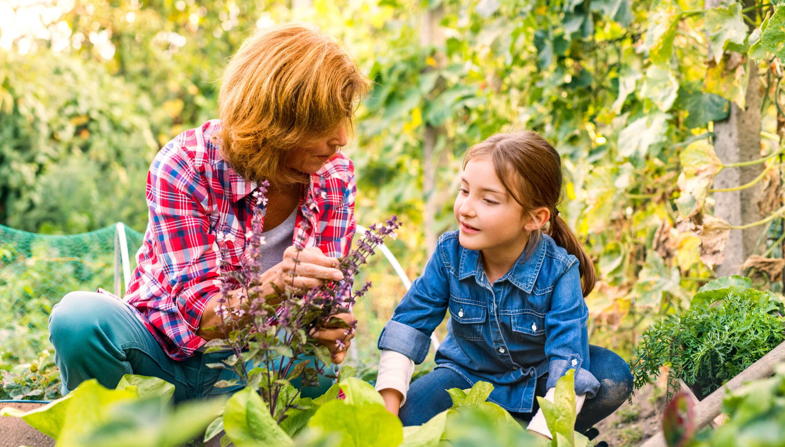 Ältere Dame mit Kind vor Kräutern im Beet