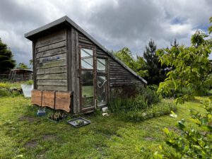 Energiesparmeister 2025 – Freie Schule Rügen - Schulgarten