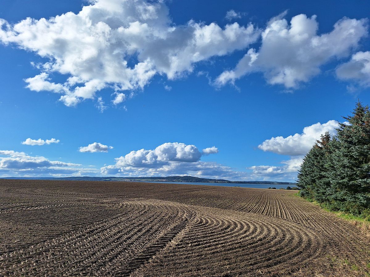 Ein abgeernterter Acker, mit frischer Furche vor Blauen Himmel mit weißen Wolken. Die Furchen sind sehr geometrisch. Im Hintergrund ist ein See und rechts im Bild eine grüne Baumgruppe.
