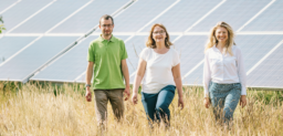 Drei Menschen gehen durch hohes sommerliches Gras vor einer PV-Anlage