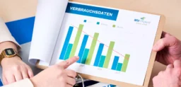 Energiecharts werden gezeigt als Balkendiagramme